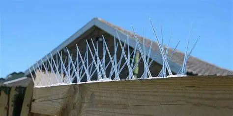 Bird Spikes