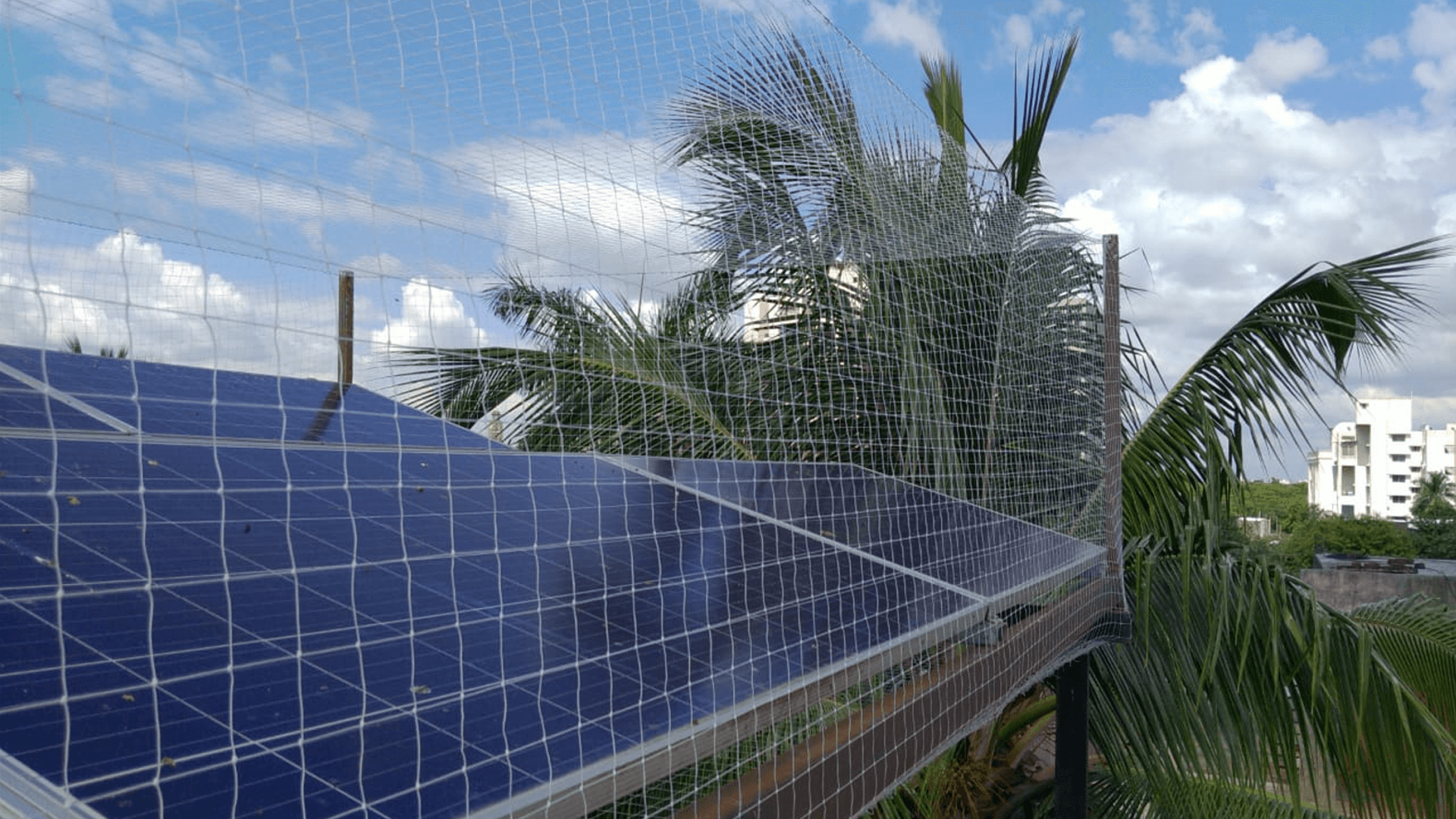 Industrial Bird Netting